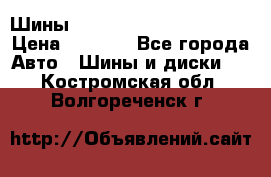Шины bridgestone potenza s 2 › Цена ­ 3 000 - Все города Авто » Шины и диски   . Костромская обл.,Волгореченск г.